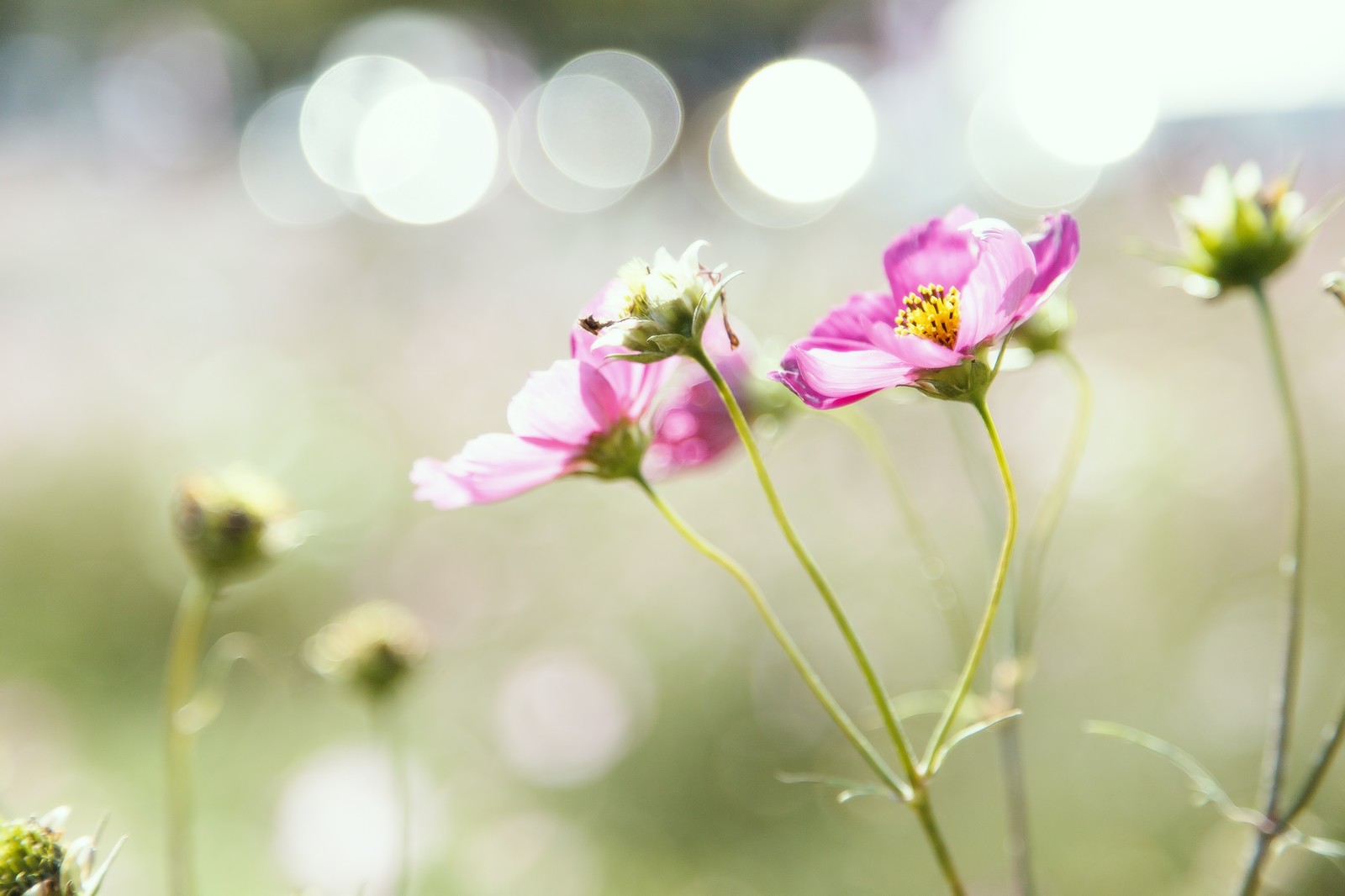 人に見せても恥ずかしくない字が書きたい 東京 渋谷 ペン字筆ペン教室 My Moji まいもじ